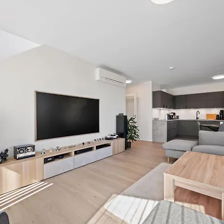 Penthouse With Rooftop Terrace & Balcony Appartement