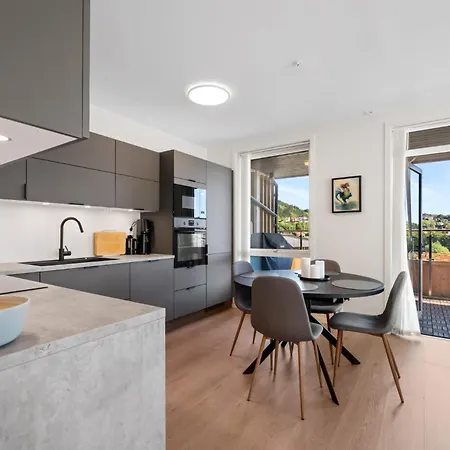 Penthouse With Rooftop Terrace & Balcony Daire Bergen
