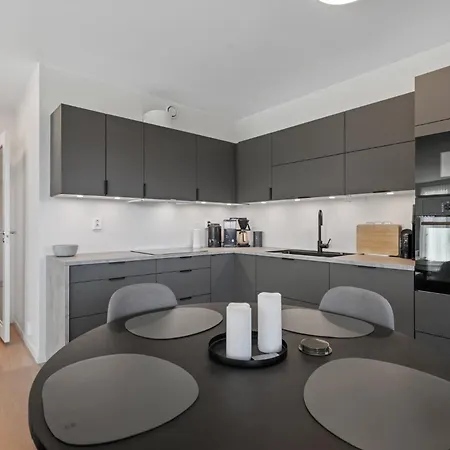 Penthouse With Rooftop Terrace & Balcony * Bergen
